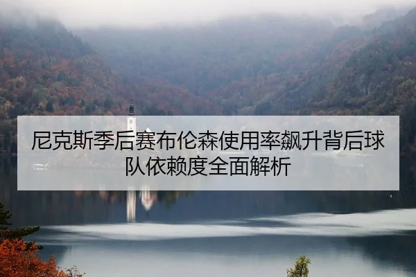 尼克斯季后赛布伦森使用率飙升背后球队依赖度全面解析